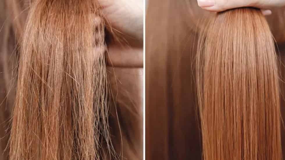 پروتئین‌ تراپی موهای آسیب‌ دیده در کلینیک احیا ساری