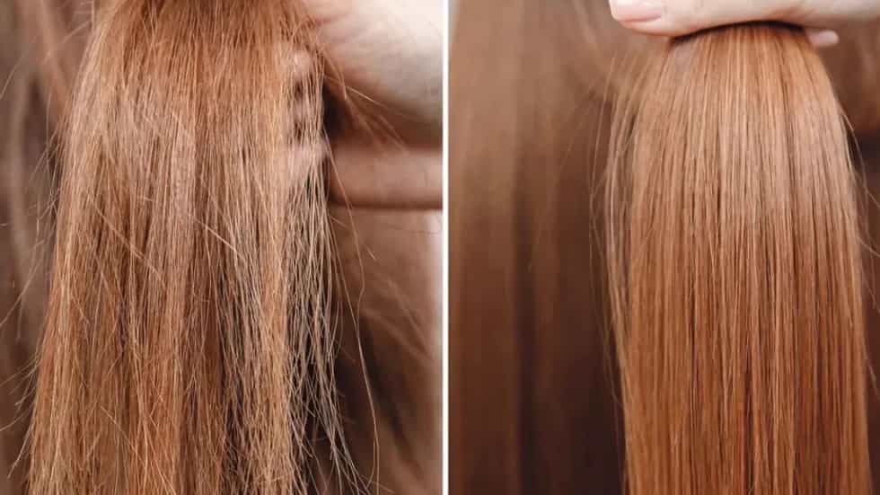 پروتئین‌ تراپی موهای آسیب‌ دیده در کلینیک احیا ساری